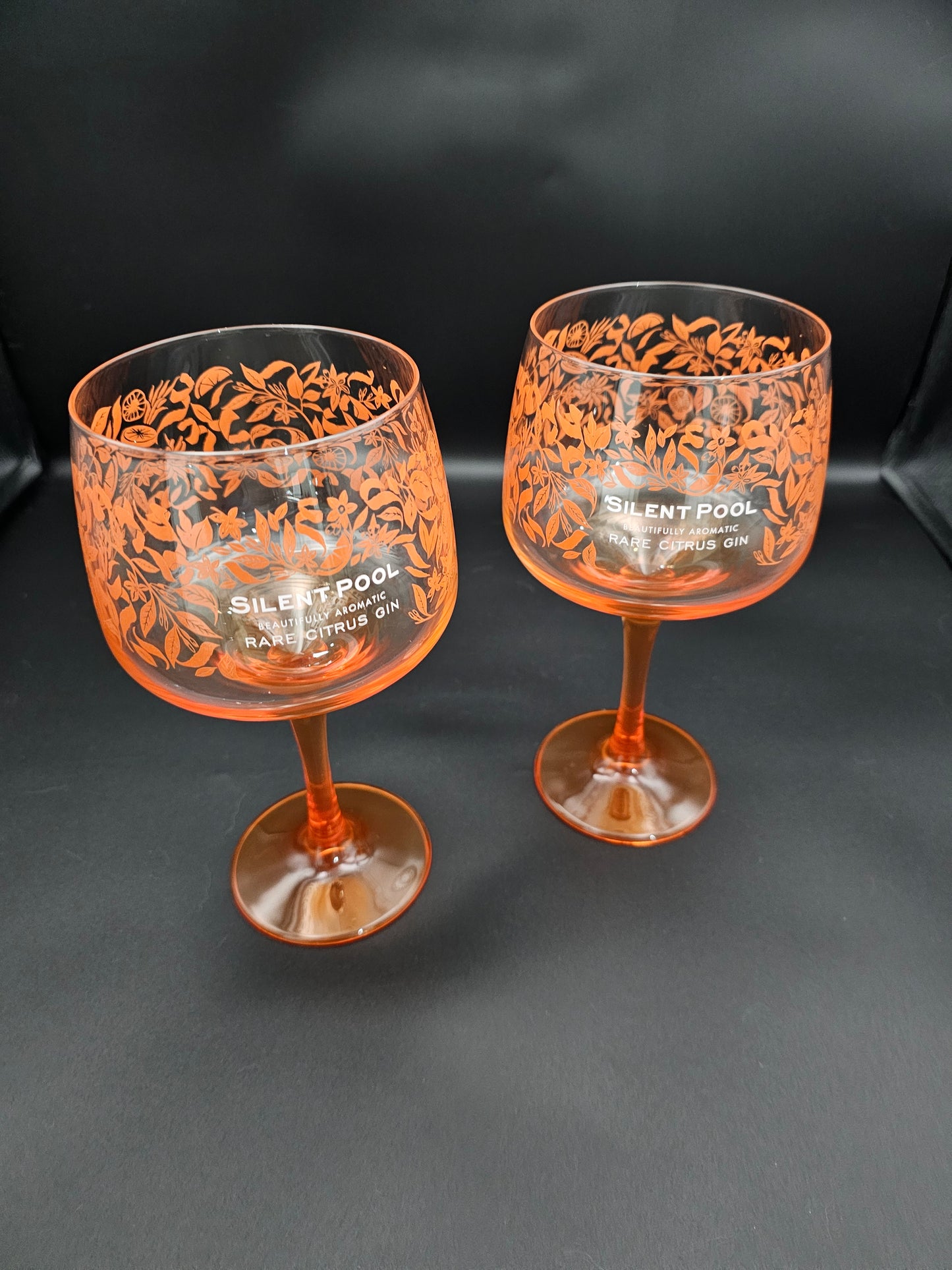 A pair of Silent Pool Citrus Copa Gin glasses